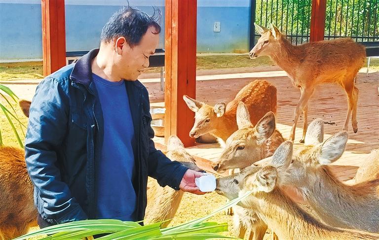 量发展产业调研】林下生金不朽情缘电子游戏【高质(图3)