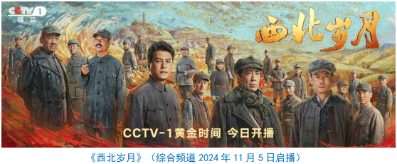 视总台社会责任报告（2024年度）mg不朽情缘游戏网站登录中央广播电(图19)