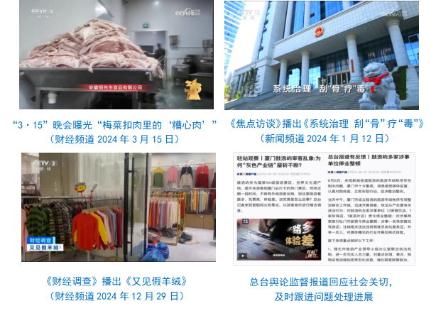 视总台社会责任报告（2024年度）mg不朽情缘游戏网站登录中央广播电(图30)