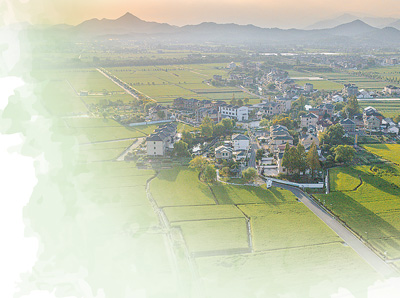 体经济（人民眼·乡村全面振兴）不朽情缘经理人如何盘活农村集